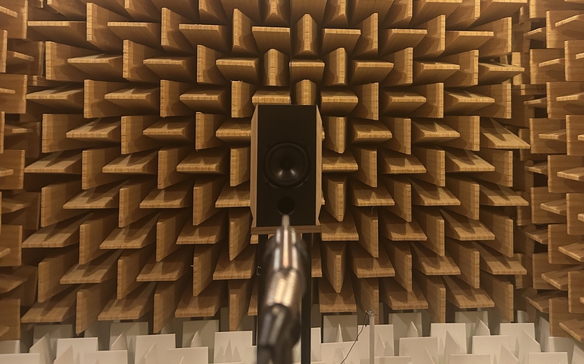 alice in anechoic room